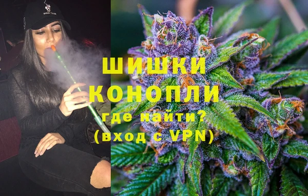 spice Аркадак
